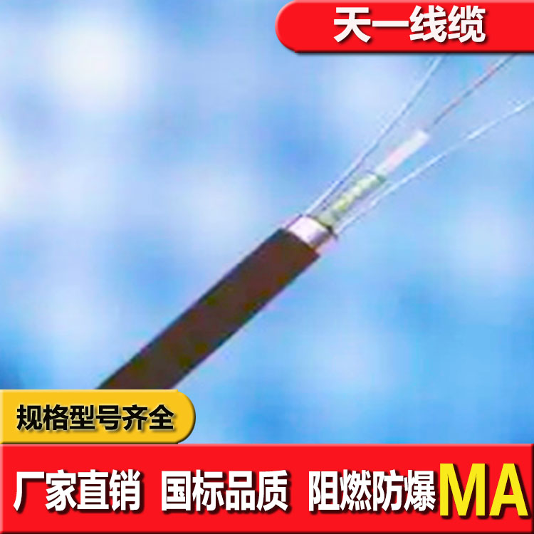 《礦用通信電纜，礦用通信光纜，礦用控制電纜》天一線纜紅框光纜預(yù)覽圖